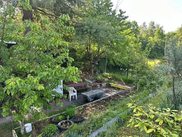 Prodej zahrady, Děčín, 260 m2