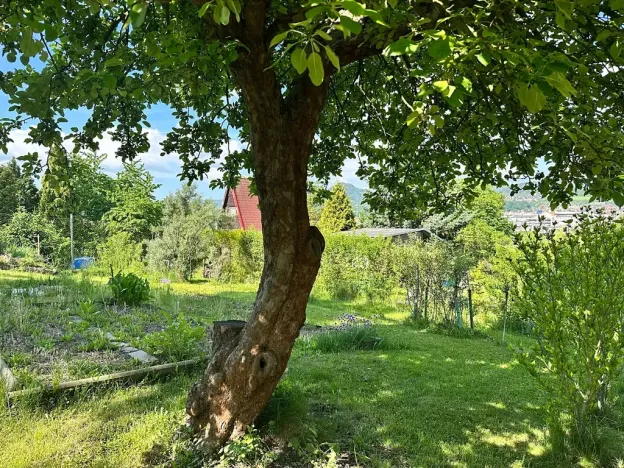 Prodej zahrady, Děčín, 260 m2