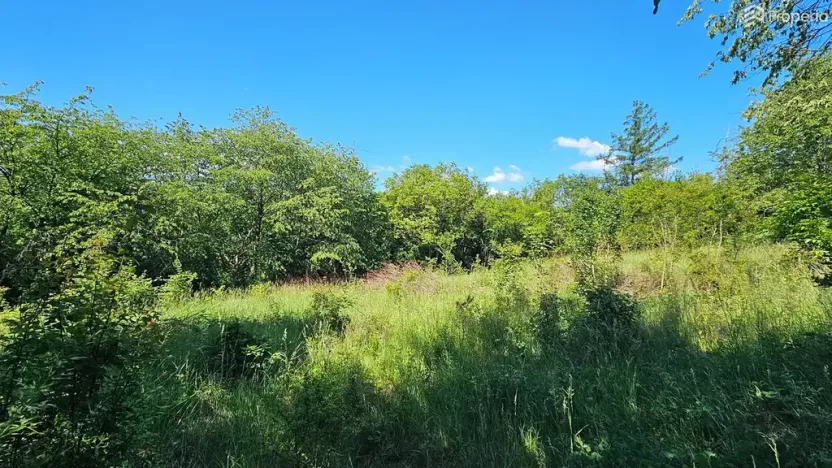 Prodej pozemku pro bydlení, Letovice, 1845 m2