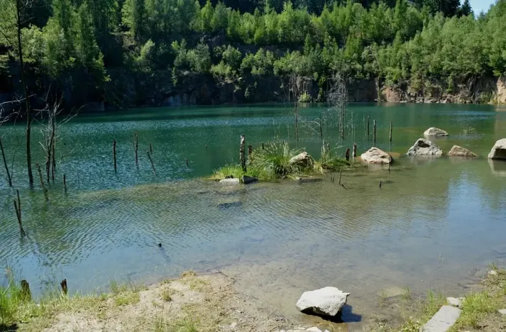 Prodej rybníku, Lipová, 80000 m2
