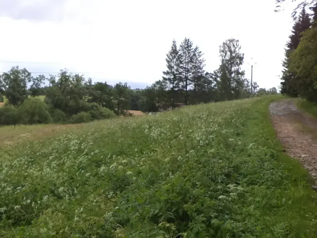 Dražba pozemku pro bydlení, Teplice nad Metují, 18922 m2