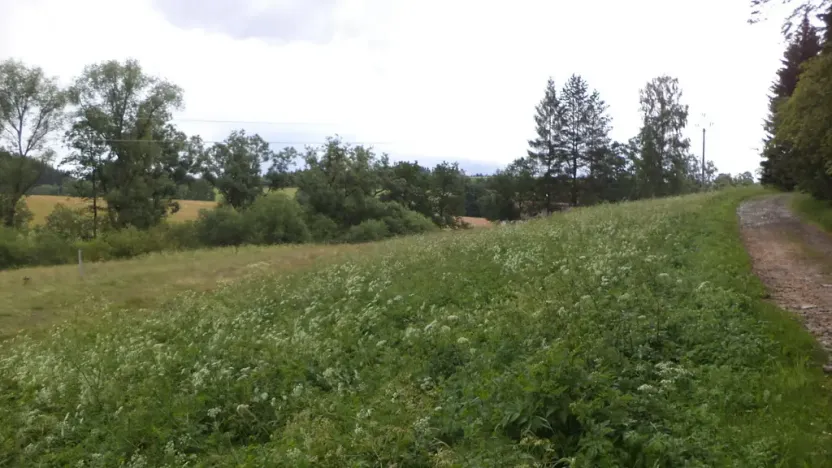 Prodej pozemku, Teplice nad Metují - Horní Teplice, 18922 m2
