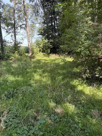 Prodej chalupy, Ratboř, 161 m2
