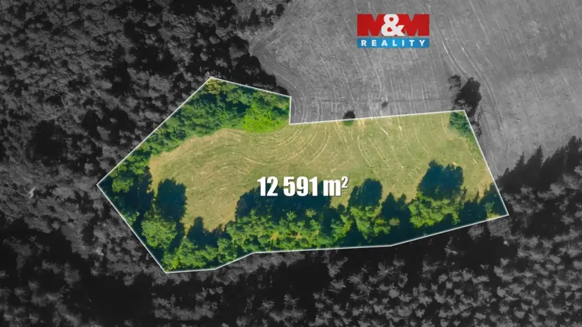 Prodej louky, Český Dub - Libíč, 12591 m2