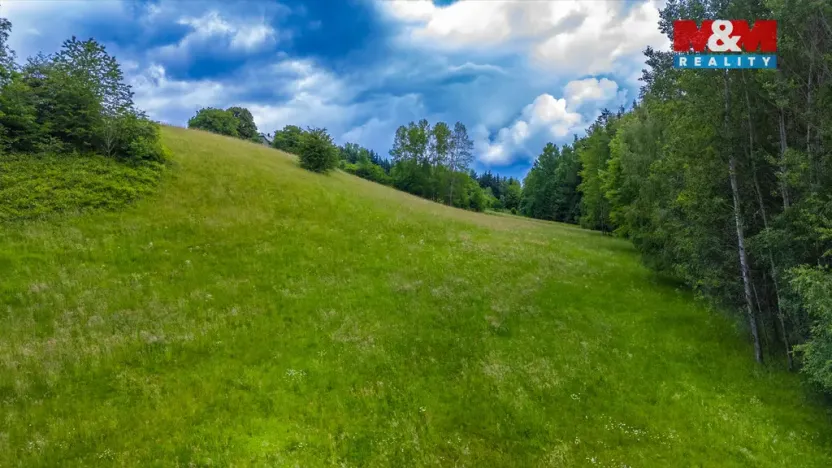 Prodej louky, Český Dub - Libíč, 12591 m2