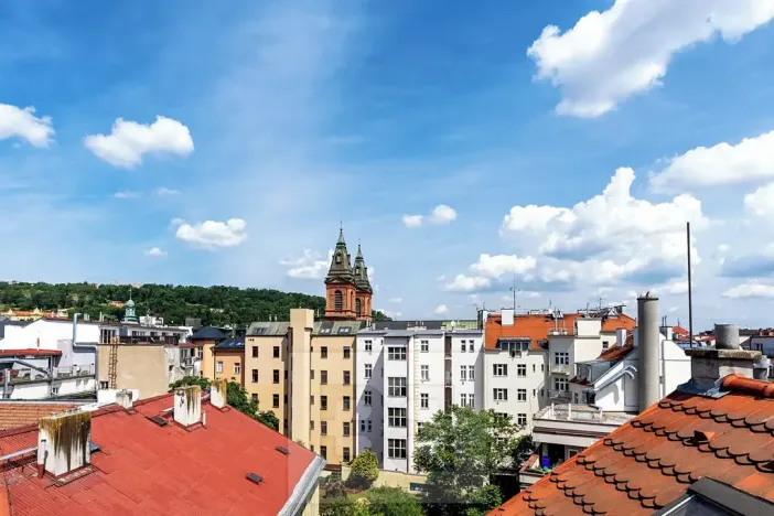 Prodej bytu 5+kk, Praha - Smíchov, Lidická, 185 m2