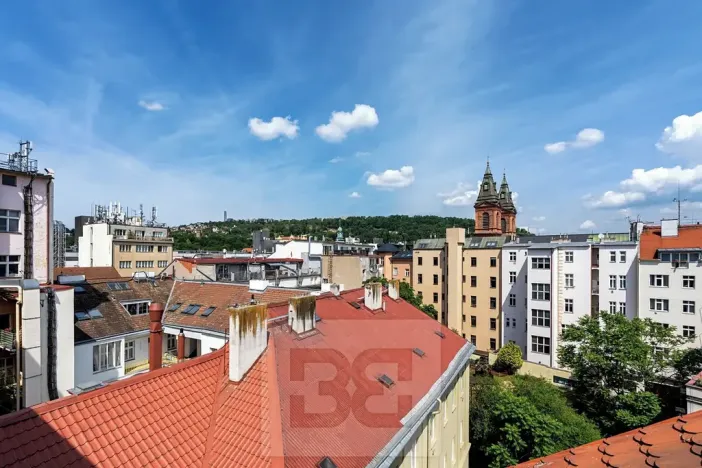 Prodej bytu 5+kk, Praha - Smíchov, Lidická, 185 m2