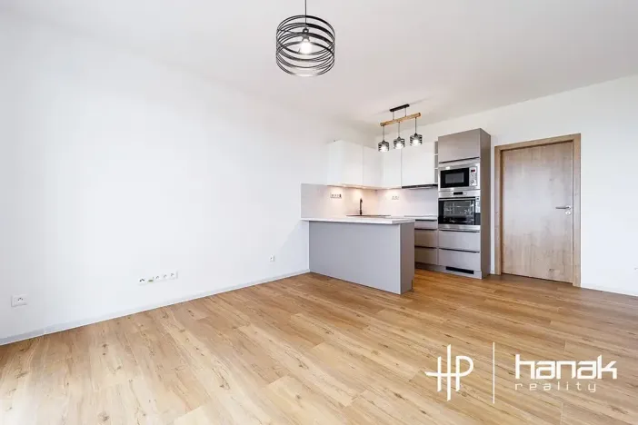 Pronájem bytu 1+kk, Olomouc, Aloise Rašína, 35 m2