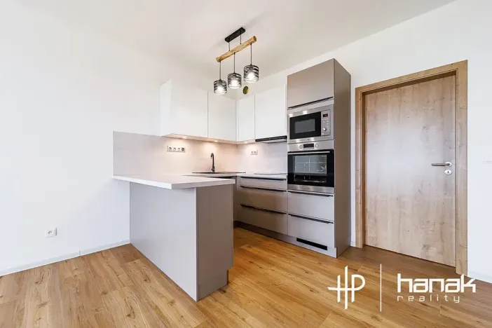 Pronájem bytu 1+kk, Olomouc, Aloise Rašína, 35 m2