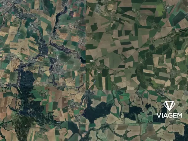 Prodej podílu lesa, Bečváry, 1312 m2