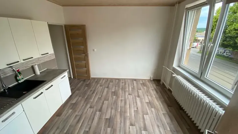 Pronájem bytu 1+1, Brno, Palackého třída, 50 m2