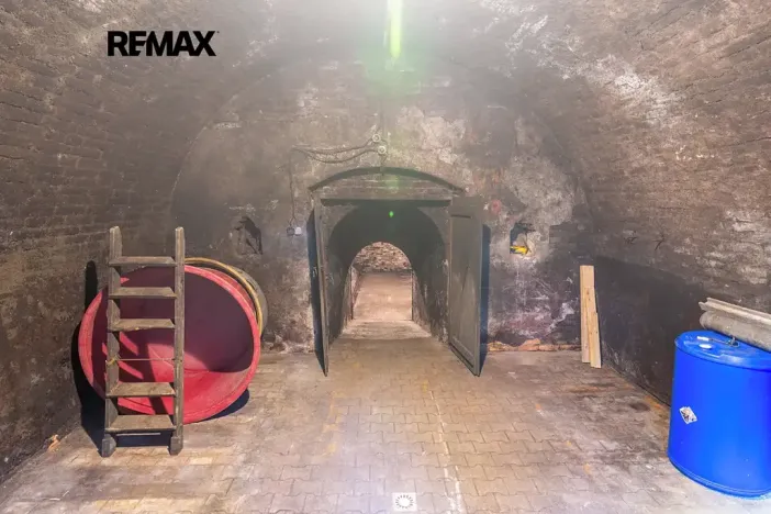 Prodej vinného sklepa, Brod nad Dyjí, 70 m2