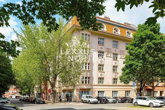 Prodej bytu 2+kk, Praha - Žižkov, Ševčíkova, 91 m2