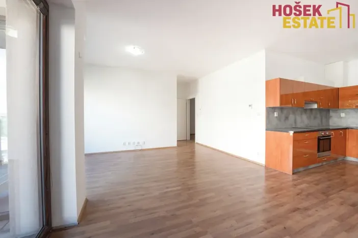 Prodej bytu 2+kk, Brno, Kigginsova, 60 m2