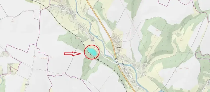 Prodej lesa, Heřmanice, 11566 m2