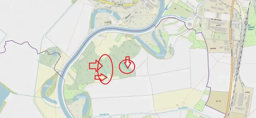 Prodej lesa, Veselí nad Moravou, 2272 m2