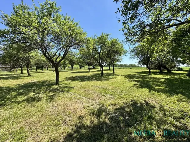 Prodej pozemku pro bydlení, Bílé Poličany, 2980 m2