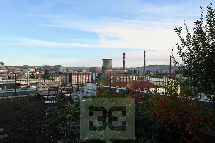 Pronájem bytu 1+kk, Brno, Křenová, 40 m2