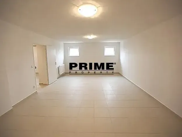 Pronájem rodinného domu, Průhonice, Pod Valem II., 350 m2
