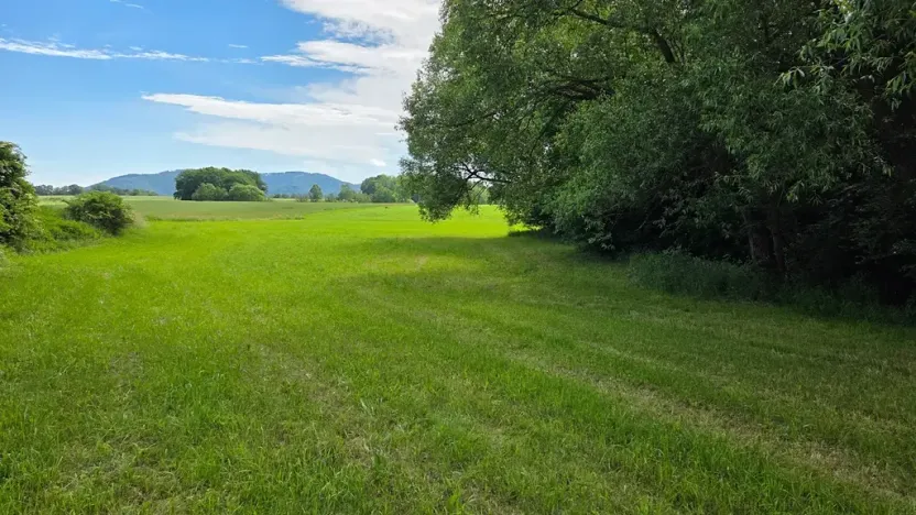 Prodej pozemku pro bydlení, Janovice, 1788 m2