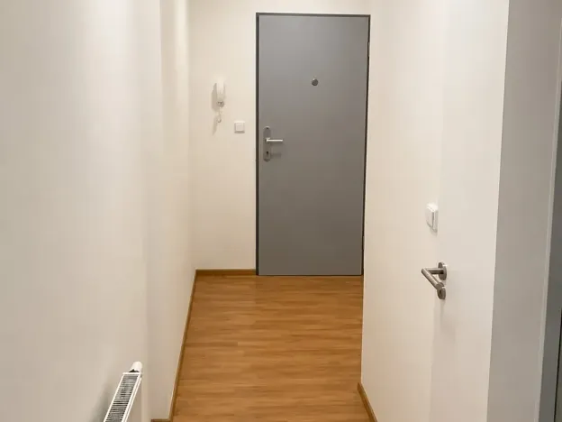 Pronájem bytu 1+kk, Brno, Vlhká, 33 m2