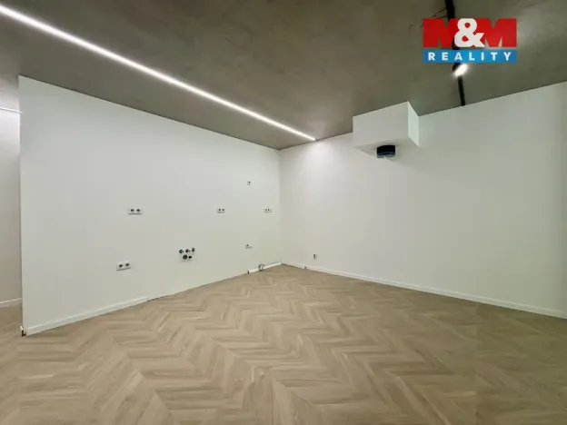 Prodej bytu 3+kk, Ostrava - Radvanice, Dvořáčkova, 105 m2