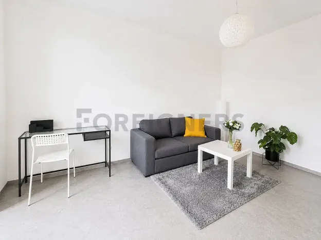Pronájem bytu 1+kk, Plzeň, Kardinála Berana, 45 m2