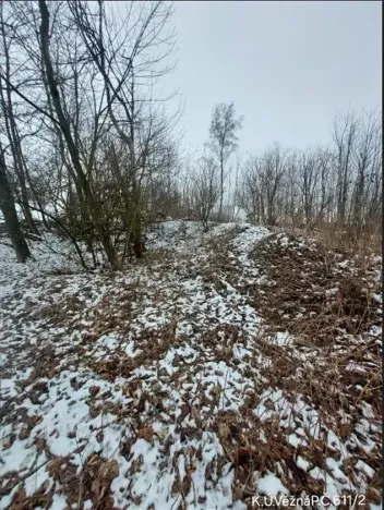 Prodej lesa, Kámen, 3212 m2