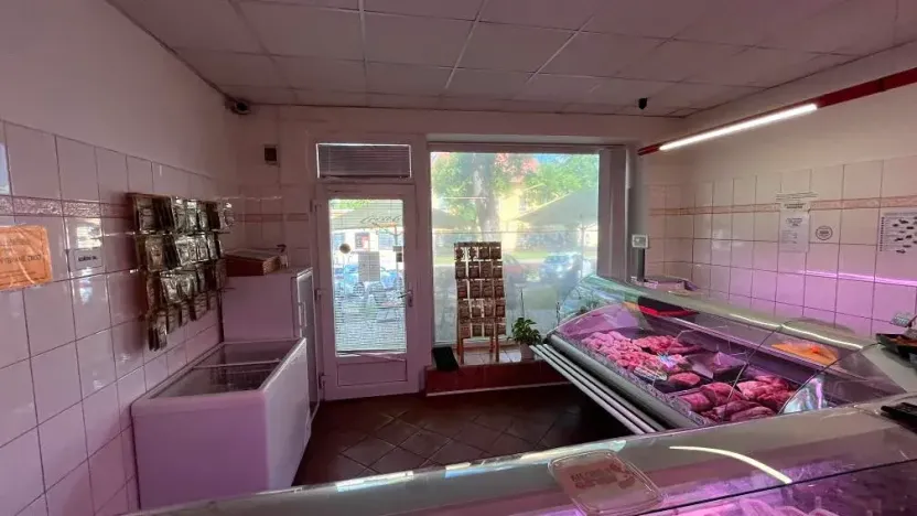 Pronájem obchodního prostoru, Napajedla, 43 m2