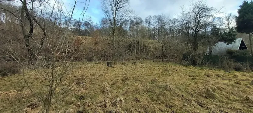 Dražba pozemku, Kamenický Šenov, 2791 m2