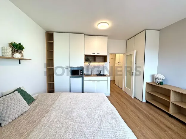 Pronájem bytu 1+kk, Brno, Cejl, 30 m2