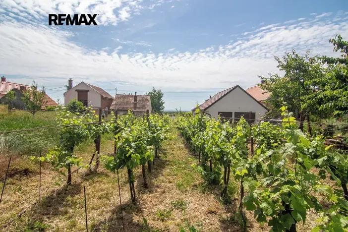 Prodej pozemku pro bydlení, Prušánky, 1448 m2