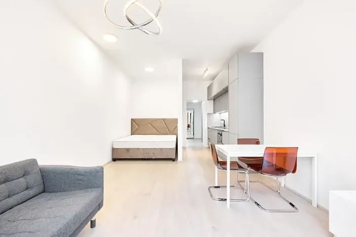 Pronájem bytu 1+kk, Praha - Žižkov, Hartigova, 45 m2