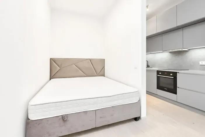 Pronájem bytu 1+kk, Praha - Žižkov, Hartigova, 45 m2