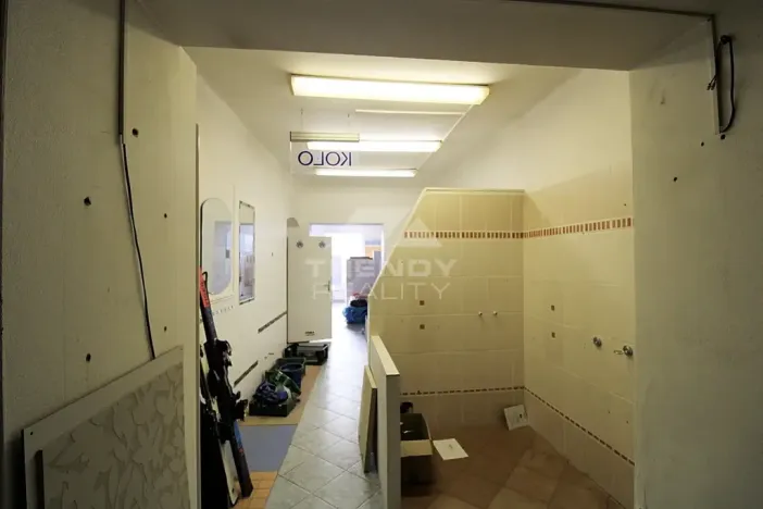 Prodej činžovního domu, Plzeň, Pod Všemi svatými, 450 m2