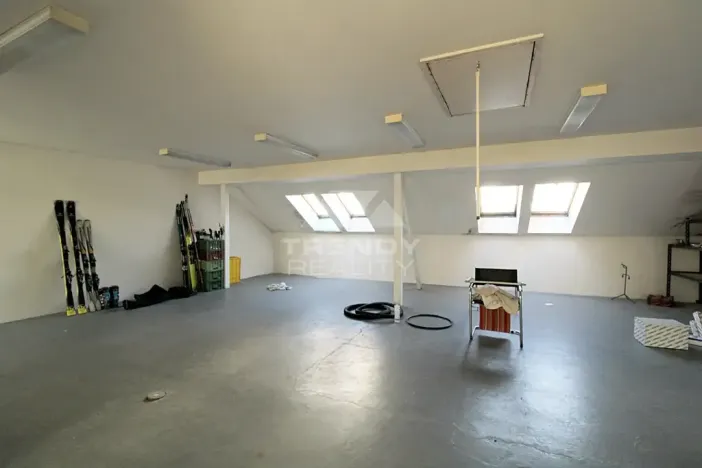 Prodej činžovního domu, Plzeň, Pod Všemi svatými, 450 m2
