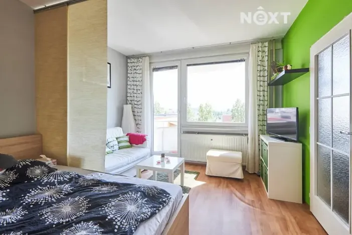 Pronájem bytu 1+1, České Budějovice, Větrná, 39 m2