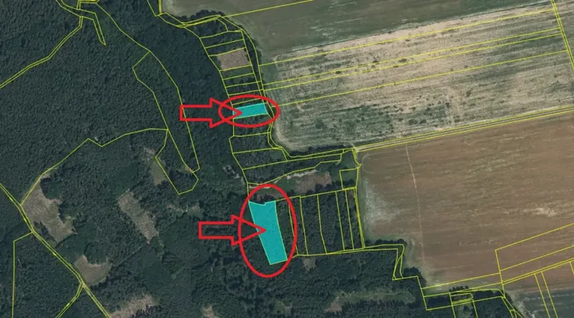 Prodej lesa, Puclice, 13840 m2