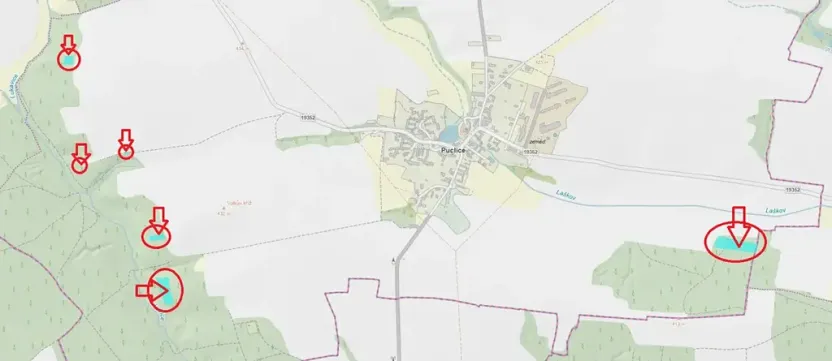 Prodej lesa, Puclice, 13840 m2