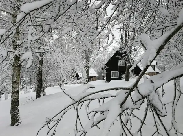 Prodej chalupy, Kounov, 267 m2