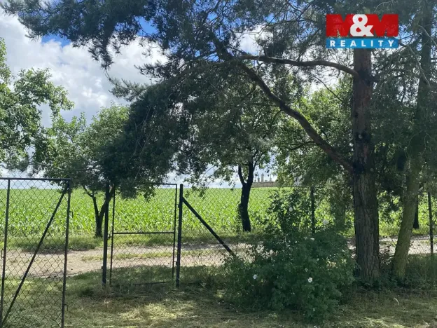 Prodej zahrady, Dobruška, Doly, 580 m2