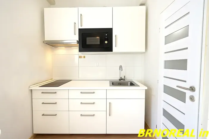 Pronájem bytu 1+kk, Brno, Vodní, 20 m2