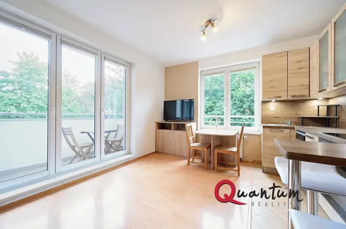 Prodej bytu 1+kk, Praha - Záběhlice, Mikanova, 35 m2