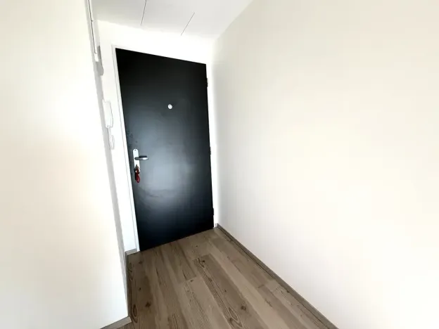 Pronájem bytu 2+kk, Brno, třída Generála Píky, 56 m2