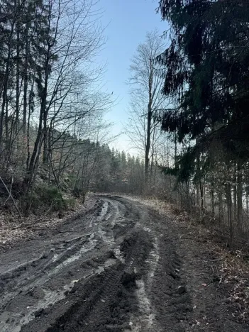 Prodej lesa, Zděchov, 5729 m2