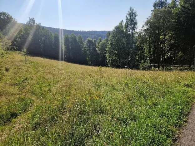 Prodej pozemku pro bydlení, Dolní Dvůr, 5218 m2