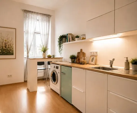 Pronájem bytu 1+kk, Brno, Koliště, 22 m2