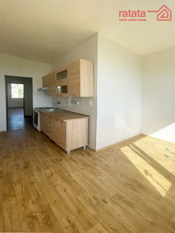 Prodej bytu 2+1, Chomutov, Písečná, 59 m2