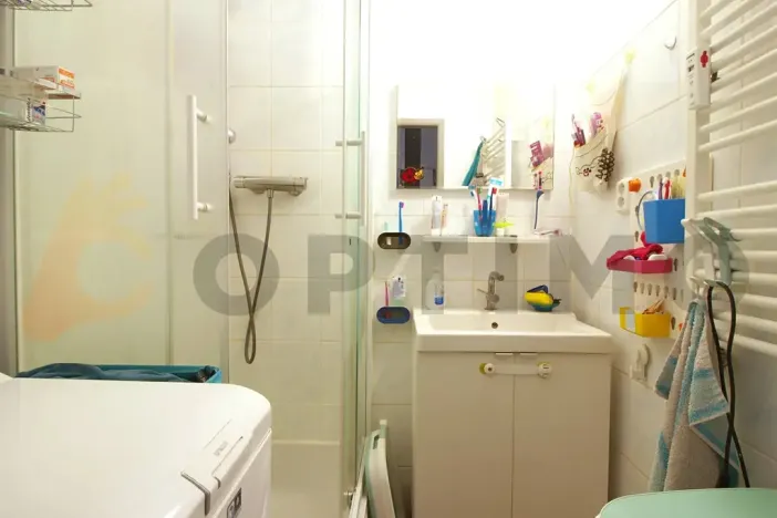 Prodej bytu 2+1, Praha - Žižkov, Pod lipami, 52 m2
