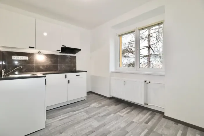 Prodej bytu 1+1, Teplice, Ruská, 30 m2